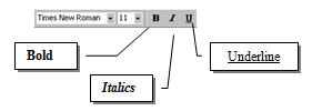 Microsoft Word Character Formats